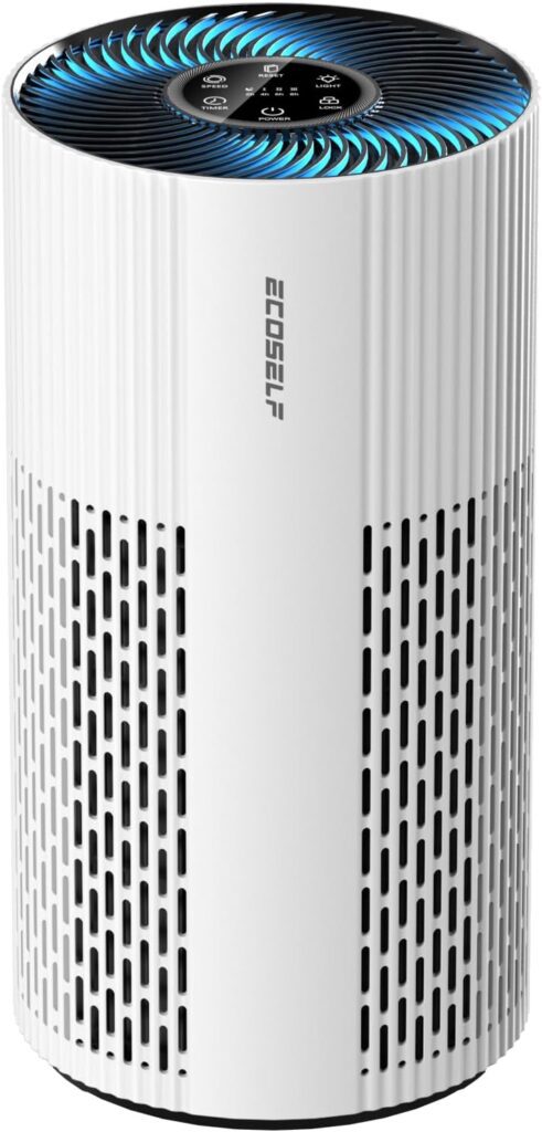 ECOSELF HAP604 Air Purifier for Large Rooms