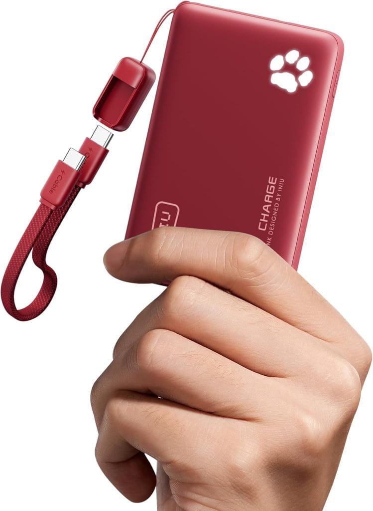 INIU Portable Charger