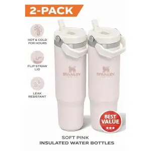 STANLEY IceFlow Flip Straw Tumbler 2-Pack