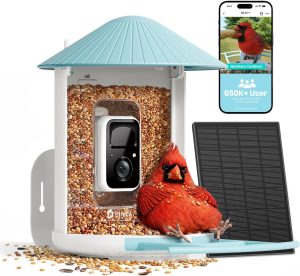 NETVUE Birdfy Smart Bird Feeder with Camera